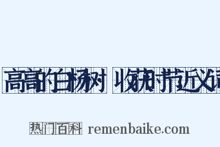 高高的白杨树·收获时节近义词是什么意思的图片